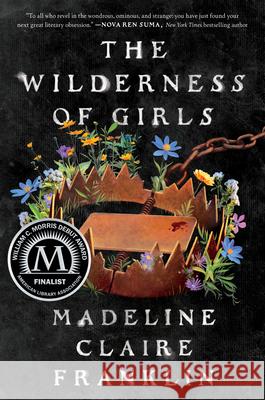 The Wilderness of Girls Madeline Claire Franklin 9781638932826 Zando Young Readers - książka