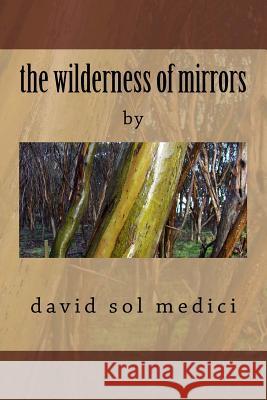 The wilderness of mirrors: na David Sol Medici 9781987463941 Createspace Independent Publishing Platform - książka
