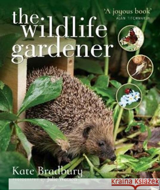 The Wildlife Gardener Kate Bradbury 9781526712899 Pen & Sword Books Ltd - książka