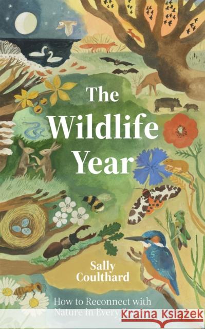The Wildlife Year: How to Reconnect with Nature Through the Seasons Sally Coulthard 9781837831548 Quadrille Publishing Ltd - książka