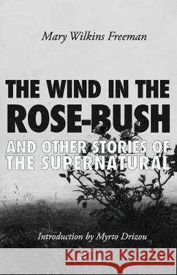 The Wind in the Rose-Bush: And Other Stories of the Supernatural Mary Wilkin 9781942885184 Hastings College Press - książka