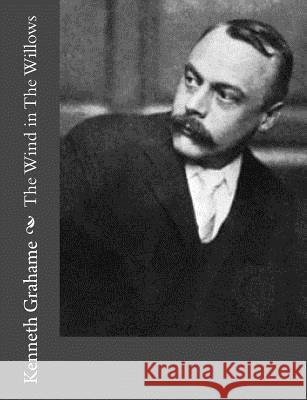 The Wind in The Willows Grahame, Kenneth 9781500732455 Createspace - książka