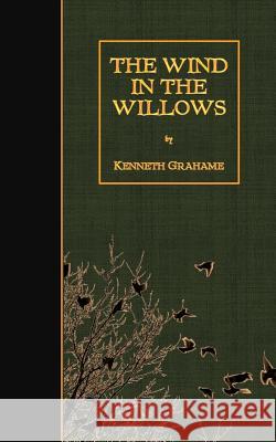 The Wind in the Willows Kenneth Grahame 9781507694060 Createspace - książka