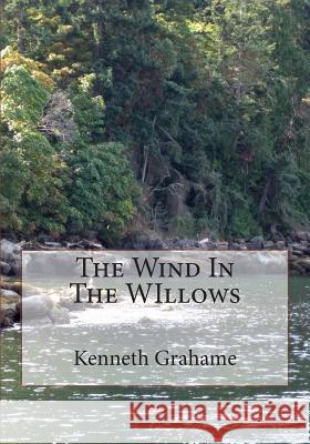 The Wind In The WIllows Grahame, Kenneth 9781507719633 Createspace - książka