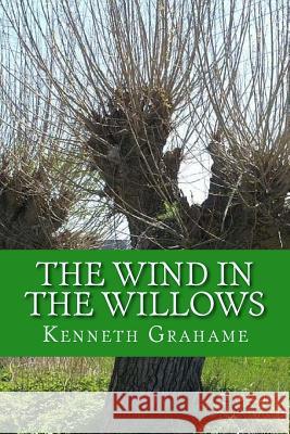 The Wind in the Willows Kenneth Grahame 9781543167016 Createspace Independent Publishing Platform - książka