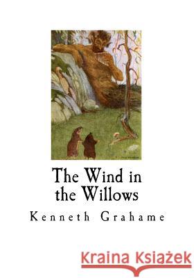 The Wind in the Willows Kenneth Grahame 9781718847798 Createspace Independent Publishing Platform - książka