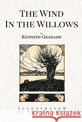 The Wind In the Willows: Illustrated Bransom, Paul 9781517207342 Createspace - książka