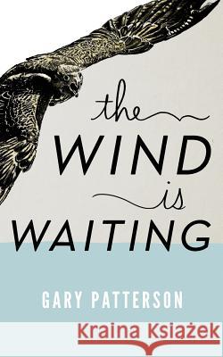 The Wind is Waiting: A Christian Flight Manual Buck, Lisa Walters 9781888081367 Good News Fellowship Ministries - książka