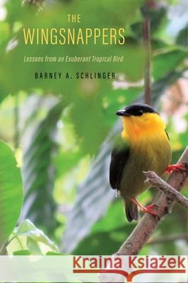 The Wingsnappers: Lessons from an Exuberant Tropical Bird Barney A. Schlinger 9780300269413 Yale University Press - książka