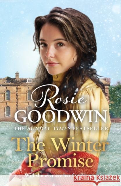 The Winter Promise: A perfect cosy Victorian saga from the Sunday Times bestselling author Rosie Goodwin 9781838772994 ZAFFRE - książka