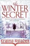 The Winter Secret Lulu Taylor 9781509840731 Pan Macmillan