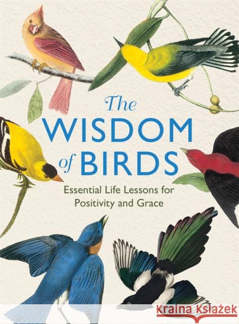 The Wisdom of Birds: Essential Life Lessons for Positivity and Grace Alison Davies 9781915751140 Michael O'Mara Books Ltd - książka