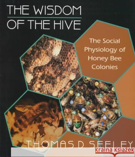 The Wisdom of the Hive: The Social Physiology of Honey Bee Colonies Seeley, Thomas D. 9780674953765 Harvard University Press - książka