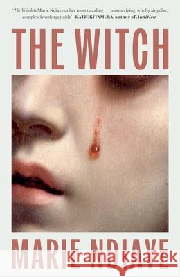 The Witch Marie NDiaye 9781529449389 Quercus Publishing - książka
