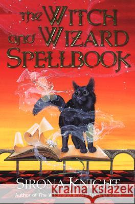 The Witch and Wizard Spellbook Sirona Knight 9780806526843 Citadel Press - książka