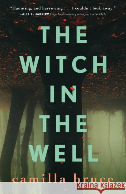 The Witch In The Well Camilla Bruce 9781250302076 Tor Publishing Group - książka