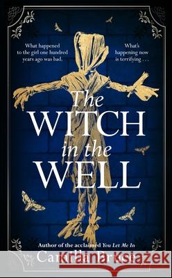 The Witch in the Well: A deliciously disturbing Gothic tale of a revenge reaching out across the years Camilla Bruce 9781787633414 Transworld Publishers Ltd - książka