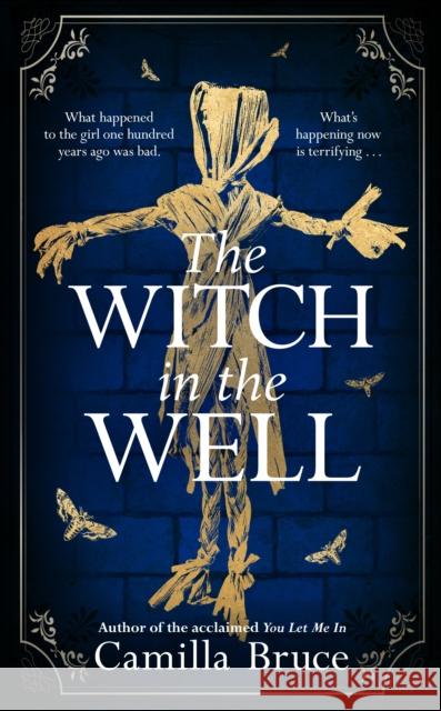 The Witch in the Well: A deliciously disturbing Gothic tale of a revenge reaching out across the years Camilla Bruce 9781787633421 Transworld - książka