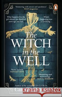 The Witch in the Well: A deliciously disturbing Gothic tale of a revenge reaching out across the years Camilla Bruce 9781804993163 Transworld Publishers Ltd - książka