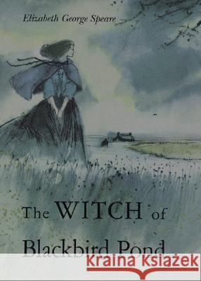 The Witch of Blackbird Pond Elizabeth George Speare 9780395071144 Houghton Mifflin Company - książka