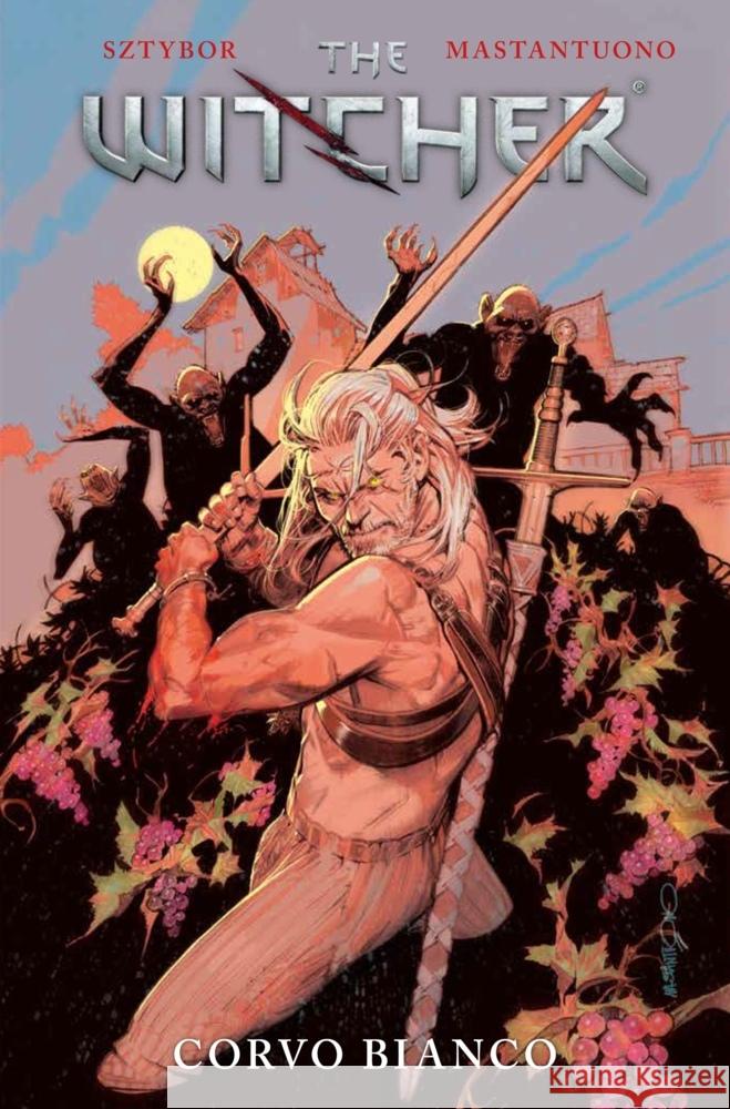 The Witcher Sztybor, Bartosz, Mastantuono, Corrado 9783741643378 Panini Manga und Comic - książka