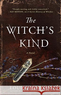 The Witch's Kind Louisa Morgan 9780316419482 Redhook - książka