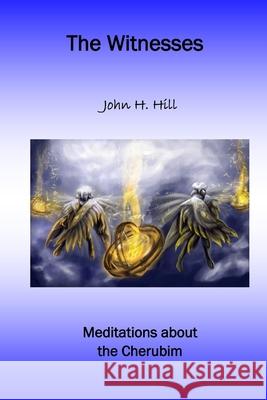 The Witnesses John Hill 9781365217067 Lulu.com - książka