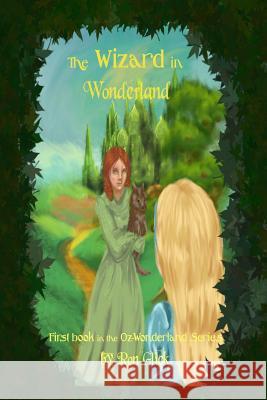 The Wizard In Wonderland (Cover B) Perisho, Kayla 9781481888516 Createspace - książka