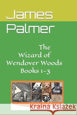 The Wizard of Wendover Woods Books 1-3 James Timothy Palmer 9798796798775 Independently Published - książka