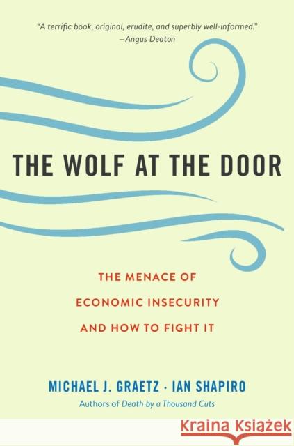 The Wolf at the Door: The Menace of Economic Insecurity and How to Fight It Michael J. Graetz Ian Shapiro 9780674260429 Harvard University Press - książka