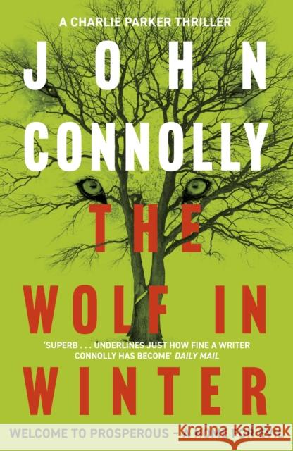 The Wolf in Winter: Private Investigator Charlie Parker hunts evil in the twelfth book in the globally bestselling series John Connolly 9781444755367 Hodder & Stoughton - książka