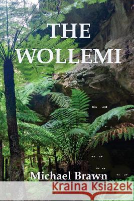 The Wollemi Michael P. Brawn Louise Brawn Louise Brawn 9780648091240 Ashbourne Publishing - książka