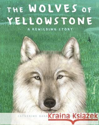 The Wolves of Yellowstone: A Rewilding Story Barr, Catherine 9781547607983 Bloomsbury Publishing PLC - książka
