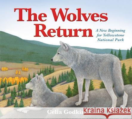 The Wolves Return: A New Beginning for Yellowstone National Park Celia Godkin Celia Godkin 9781772780116 Pajama Press - książka
