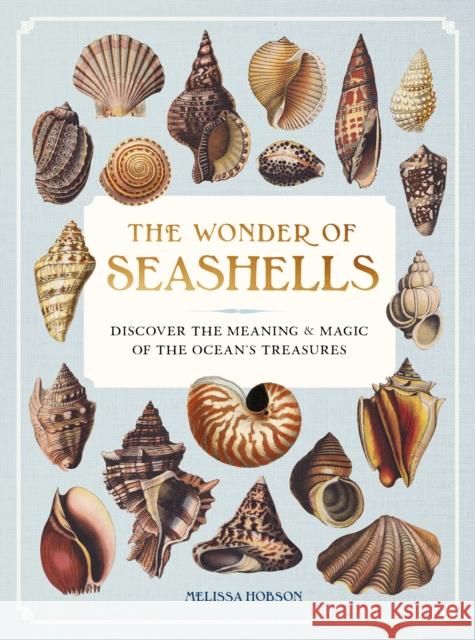 The Wonder of Seashells: Discover the Meaning & Magic of the Ocean’s Treasures Melissa Hobson 9781577155126 Wellfleet Press - książka