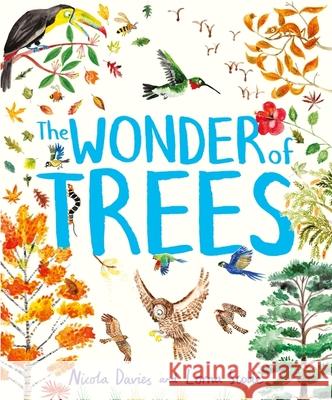 The Wonder of Trees Nicola Davies 9781444978704 Hachette Children's Group - książka