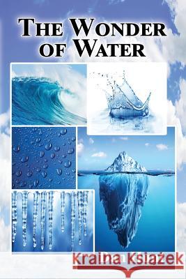 The Wonder of Water Dan Hunt 9781630732806 Faithful Life Publishers - książka