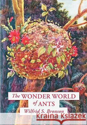 The Wonder World of Ants Wilfrid S. Bronson 9780865346918 Sunstone Press - książka