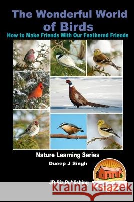 The Wonderful World of Birds - How to Make Friends With Our Feathered Friends Davidson, John 9781518757556 Createspace - książka