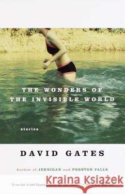 The Wonders of the Invisible World David Gates 9780679756446 Vintage Books USA - książka