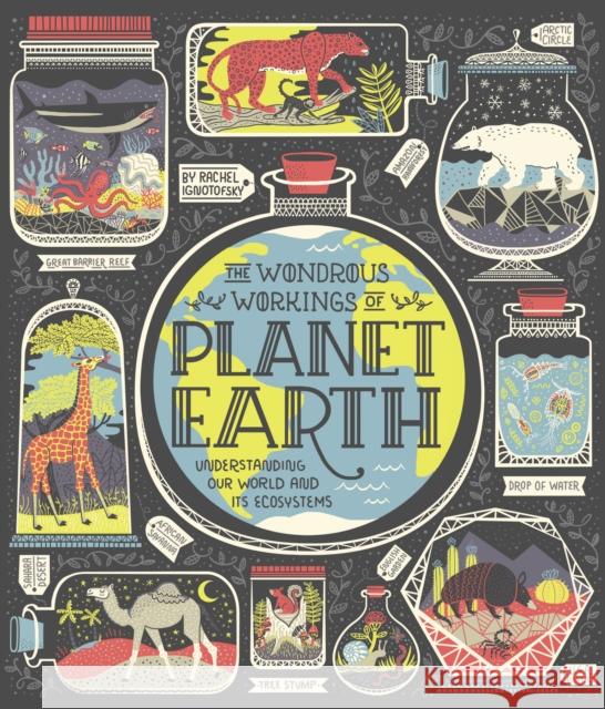 The Wondrous Workings of Planet Earth: Understanding Our World and Its Ecosystems Ignotofsky, Rachel 9780399580413 Ten Speed Press - książka