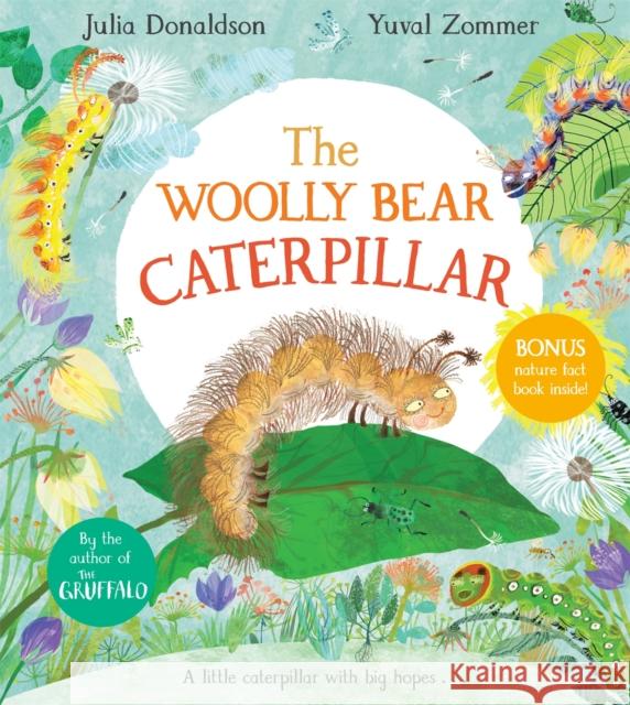 The Woolly Bear Caterpillar Julia Donaldson 9781529012187 Pan Macmillan - książka