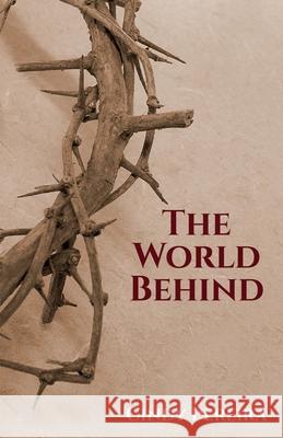 The World Behind Cindy Pereira 9781638323884 Notion Press - książka