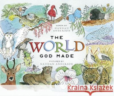 The World God Made Hannah Anderson Nathan Anderson 9781087769806 B&H Publishing Group - książka