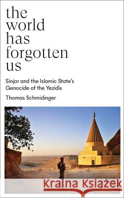 The World Has Forgotten Us: Fear, Desire and Revolutionary Horizons Schmidinger, Thomas 9780745346069 Pluto Press (UK) - książka