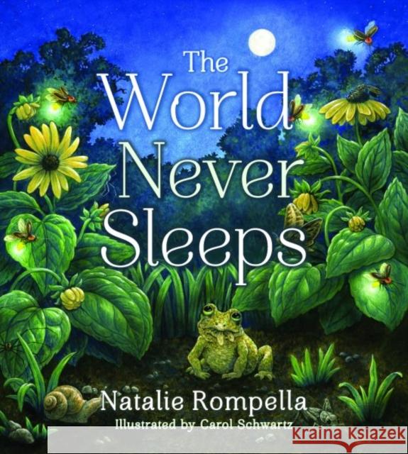The World Never Sleeps Natalie Rompella Carol Schwartz 9780884485612 Tilbury House Publishers - książka