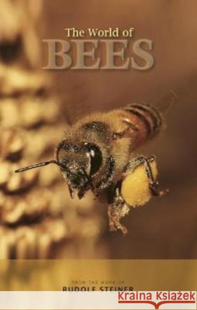 The World of Bees Rudolf Steiner 9781855845404 Rudolf Steiner Press - książka
