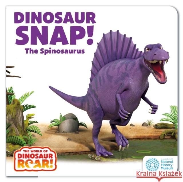 The World of Dinosaur Roar!: Dinosaur Snap! The Spinosaurus Peter Curtis 9781408372692 Hachette Children's Group - książka