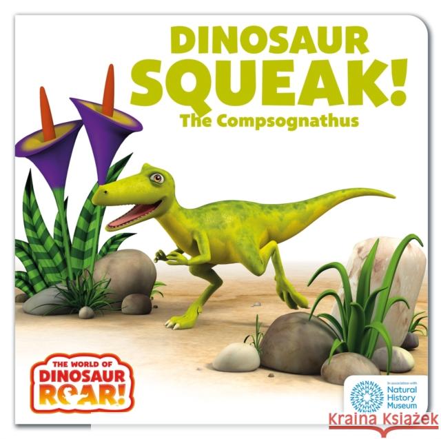 The World of Dinosaur Roar!: Dinosaur Squeak! The Compsognathus Peter Curtis 9781408372715 Hachette Children's Group - książka