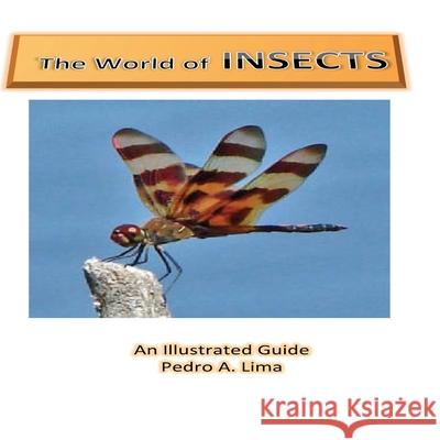 The World of Insects: an illustrated guide Pedro Arruda Lima 9781500740962 Createspace Independent Publishing Platform - książka